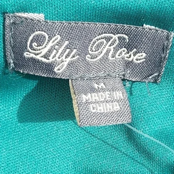 NWT Lily Rose Dress Teal/ Tan/Blue Mini Dress Medium - Picture 6 of 11